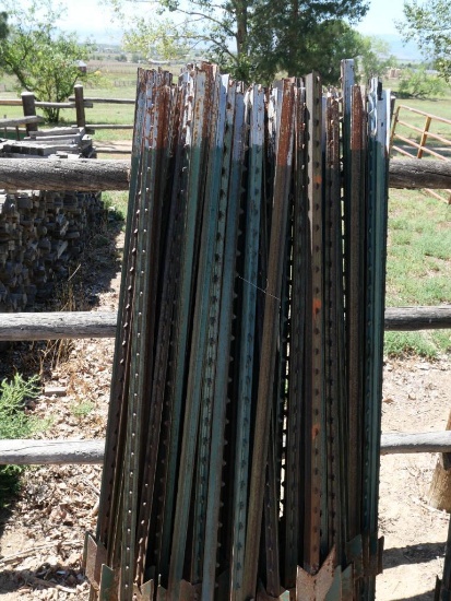 Huge Grouping of Sixty T Posts