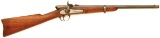 Palmer Bolt Action Civil War Carbine