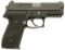 Sig Sauer P229R Semi-Auto Pistol