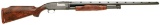 Custom Winchester Model 1912 Pigeon Grade Trap Slide Action Shotgun Engraved by Pauline Muerrle