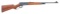 Winchester Model 71 Lever Action Rifle