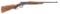 Limited Edition Browning Model 53 Deluxe Lever Action Rifle