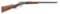 Marlin Model 39 Lever Action Rifle