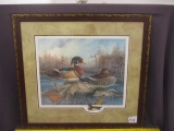 Wood Duck Print by Robert Richard
