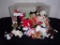 Large Group of Beanie Babies