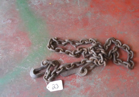 8' log chain