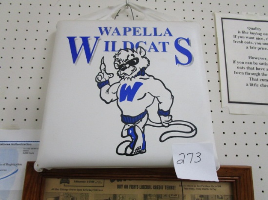Wapella Wildcats Cushion