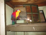 GROUP OF ITEMS PARROT