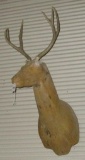 DEER MOLD WITH ANTLERS