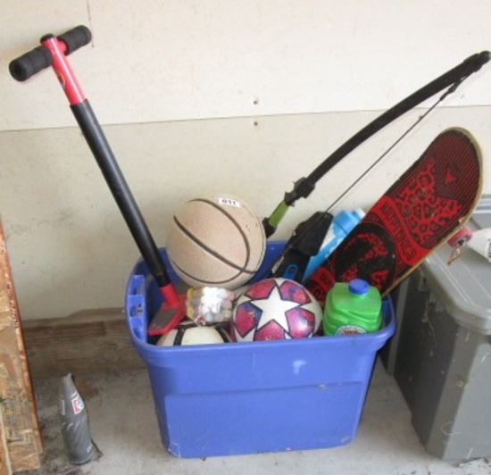 TOTE OF BALLS AND SKATEBOARD