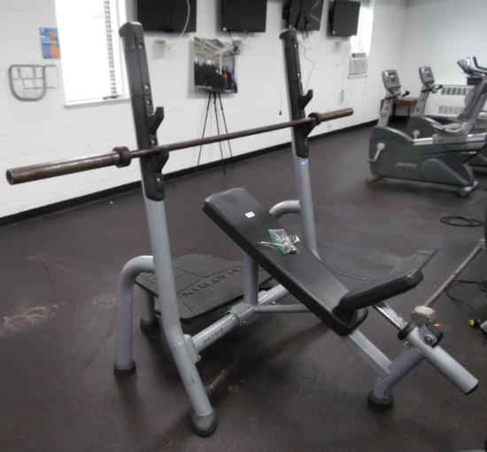 Matrix elevated weight bench with bar