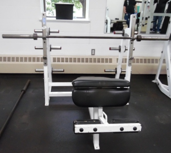 Flex Fitness Bench Press