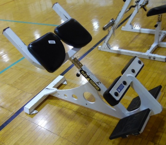 Flex Fitness Bench