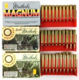 28 Rds. 270 Wby Magnum Ammo
