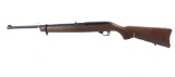 Ruger 10/22 Semi Automatic Rifle