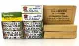 200 Rds. Misc. 223 Ammo