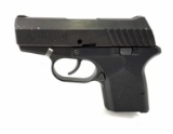 Remington Rm380 .380 Cal Pistol