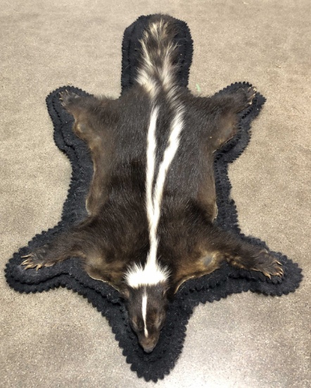 Taxidermy Skunk Full Body Rug