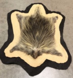 Taxidermy Porcupine Full Body Rug