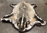 Taxidermy Badger Full Body Rug