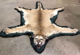 Taxidermy Mountain Lion Full Body Rug