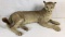 Large Taxidermy  Mountain Lion