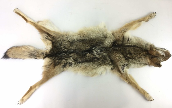 Coyote Tanned Fur Hide Pelt