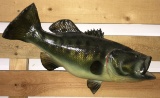 Taxidermy Largemouth Bass