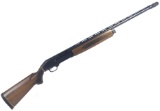 Sears Ted Williams Model 300 Semi Auto Shotgun