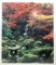 Autumn Colors At Kyoto’s Sanzen-in Framed Poster