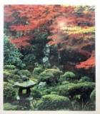 Autumn Colors At Kyoto’s Sanzen-in Framed Poster