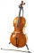 Strobel 3/4 Mc-80 Anno 2013 Despiau Cello