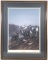 Gary Swanson Signed “stone Sheep“ Print