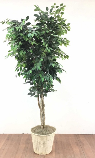 90in Faux Pot Planted Tree
