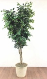 90in Faux Pot Planted Tree