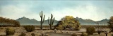 Desert Landscape Acrylic On Board