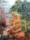 Andros Signed (1980) Forest Field Oil On Canvas