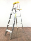 6ft Aluminum Davidson Ladder