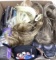 Wigs, Hair Pieces & New Shower Curtains