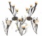 Amber Lilies Candle Wall Sconces, Table Candelabra