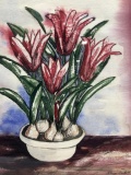 Elouise Nickell Signed Tulip Bulbs Watercolor