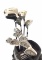 (13pc) Kings Cobra Golf Clubs, Crospece Golf Bag