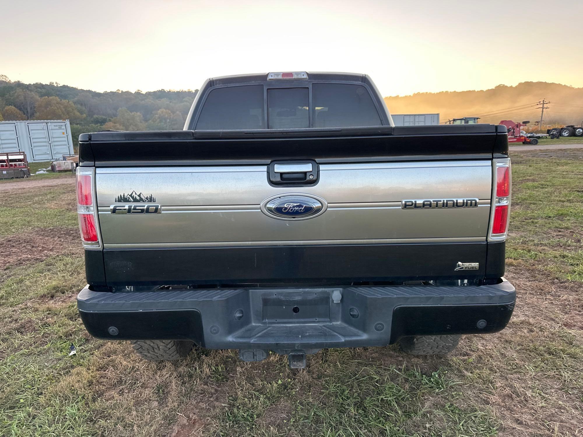 2010 Ford F-150