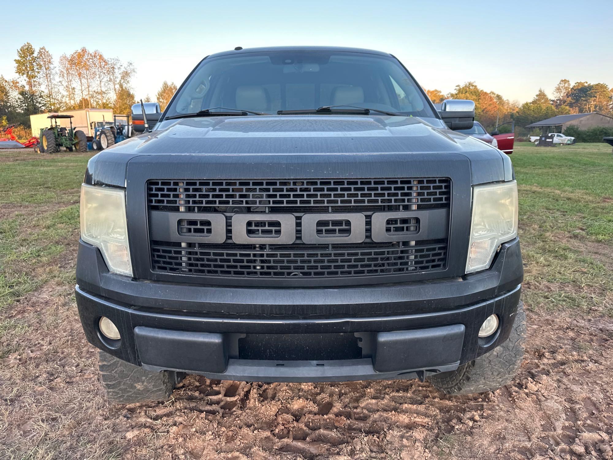 2010 Ford F-150