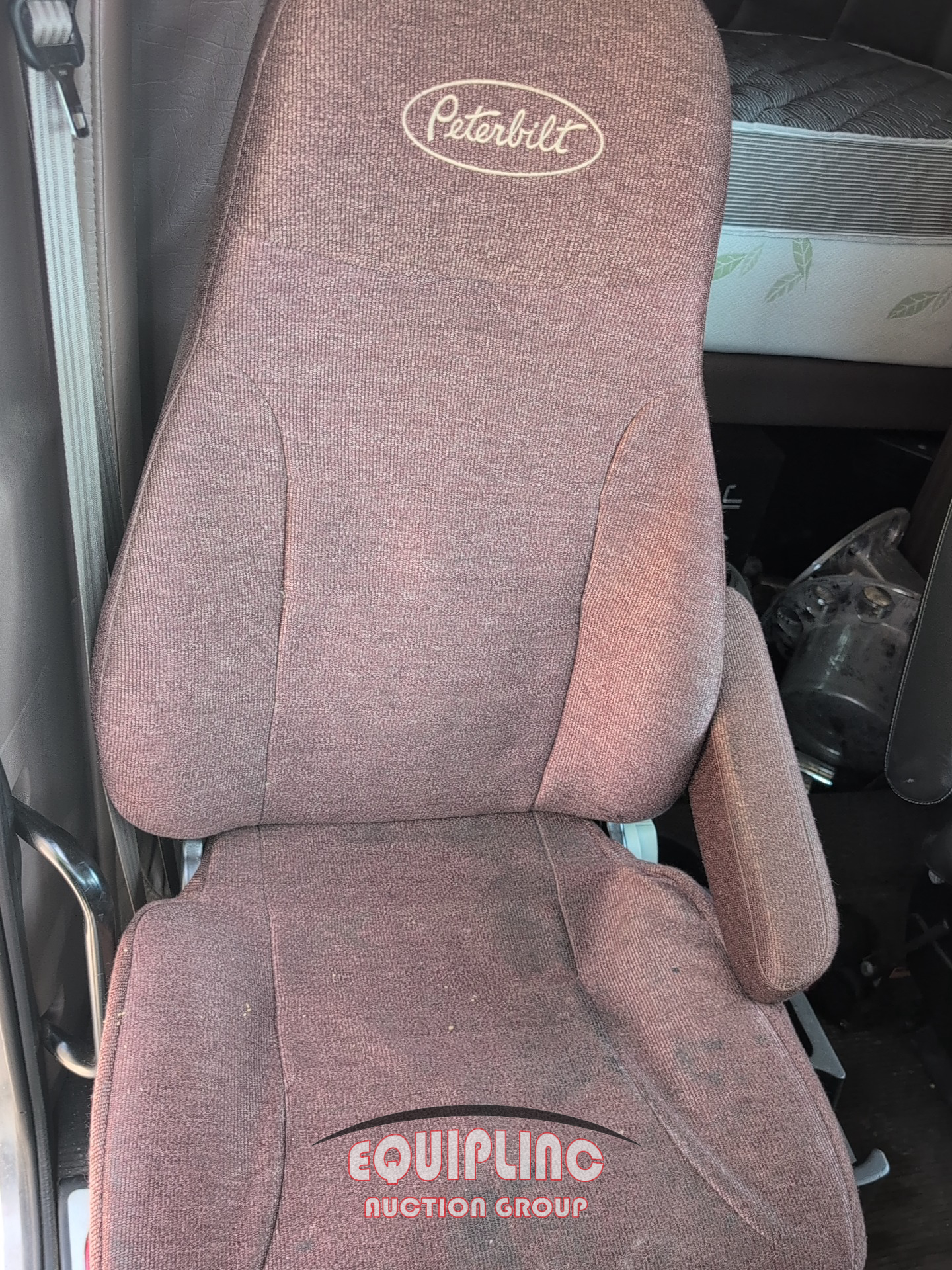 2019 Peterbilt 389