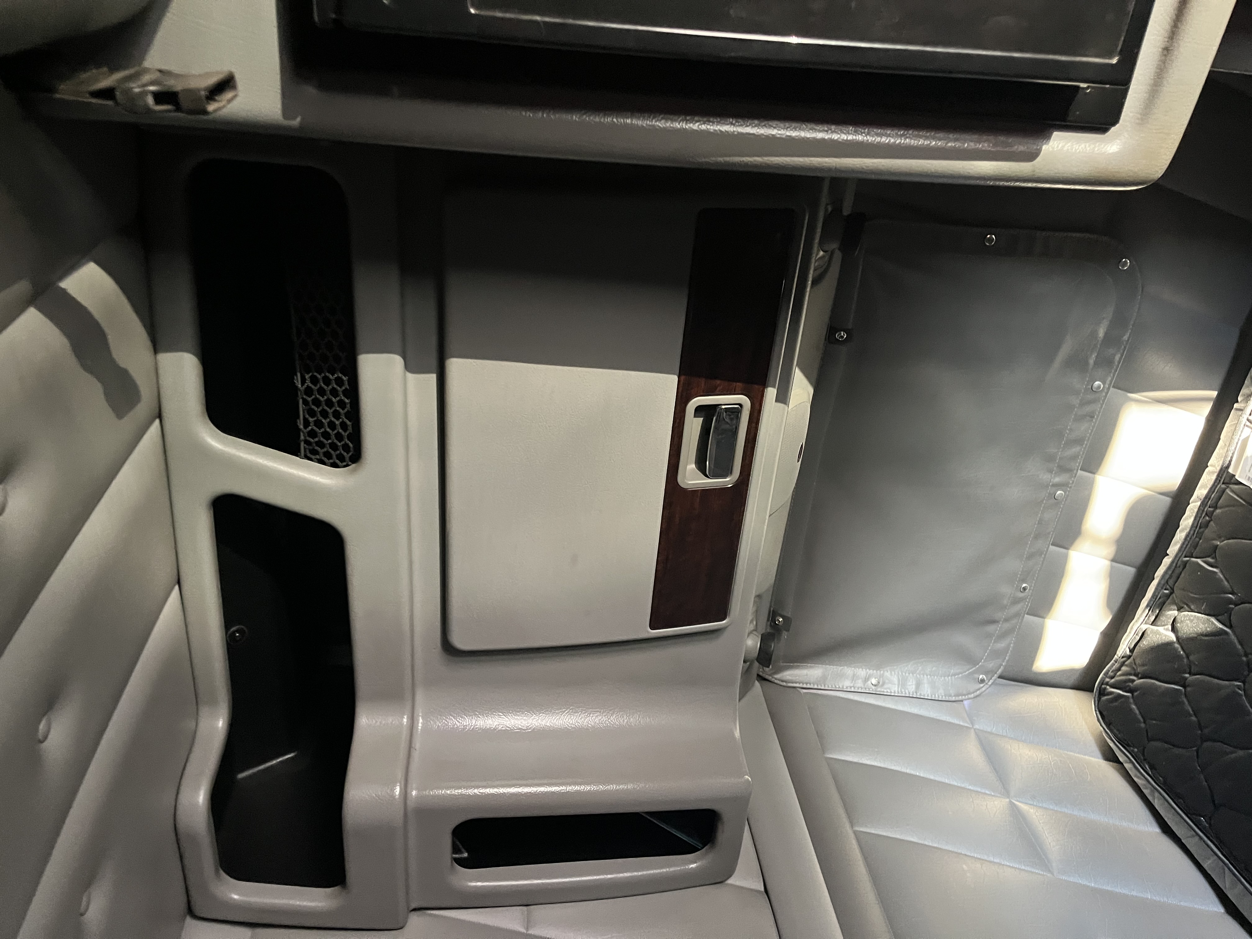 2020 Peterbilt 389