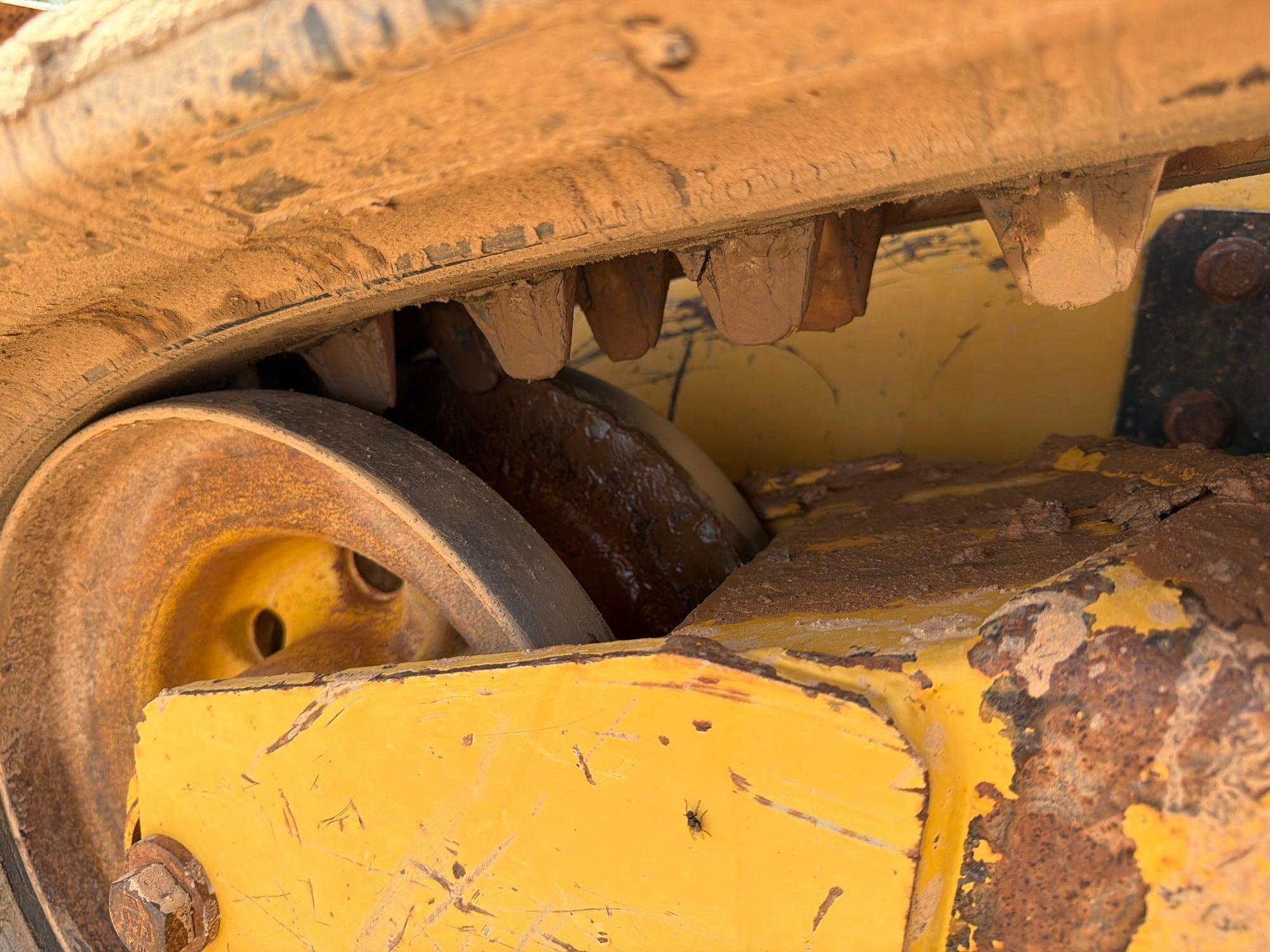 2020 Caterpillar 259D