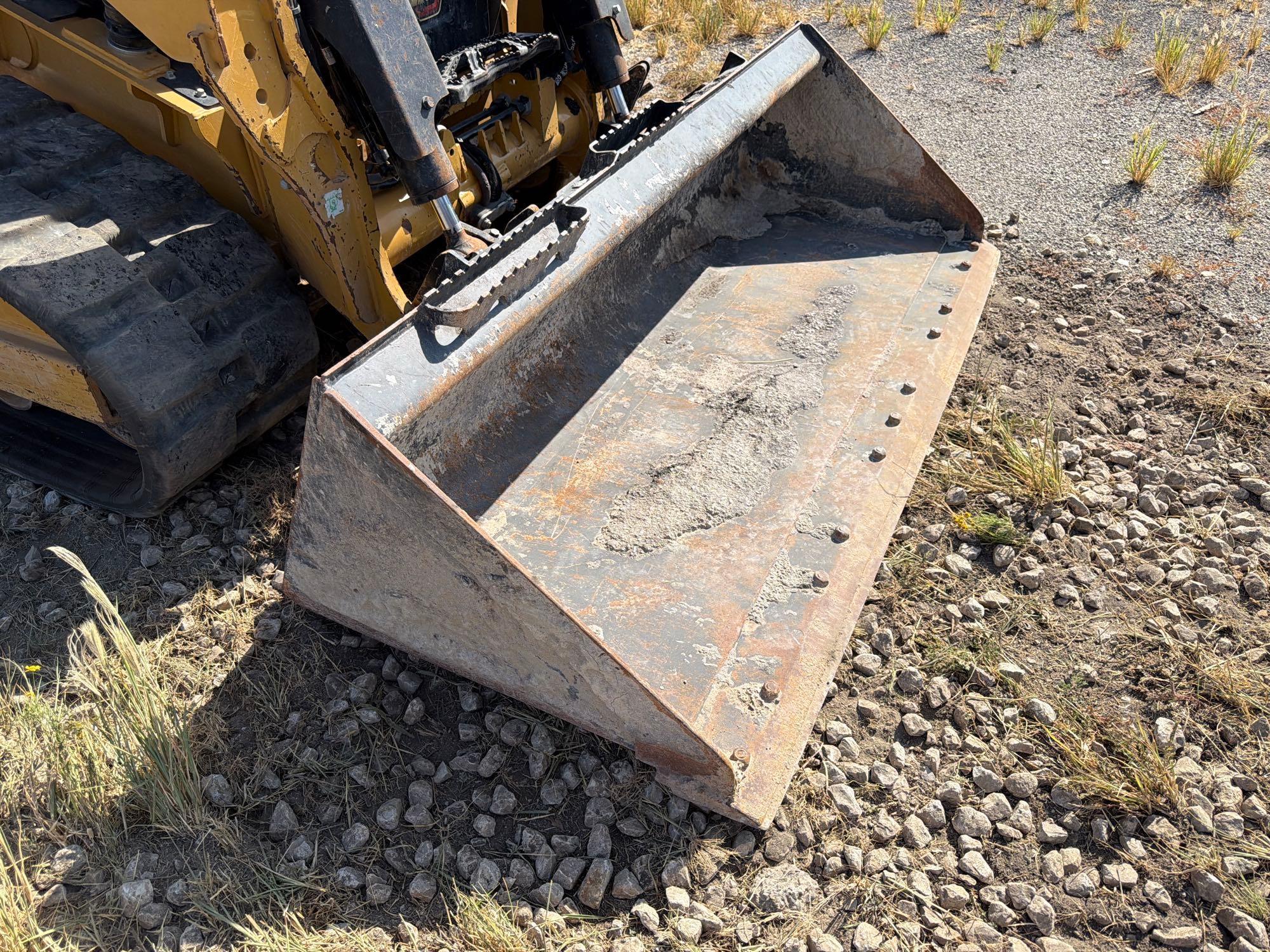2025 Caterpillar 255