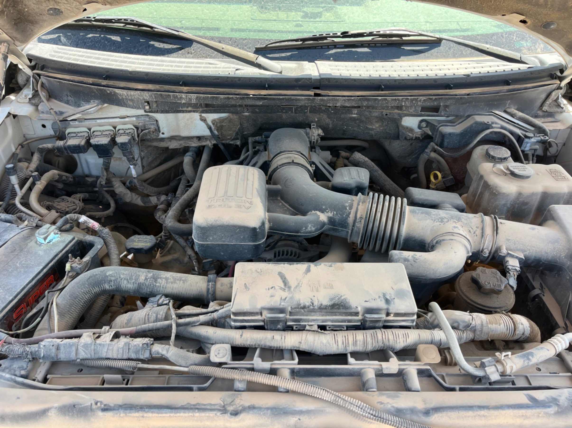 2010 Ford F-150